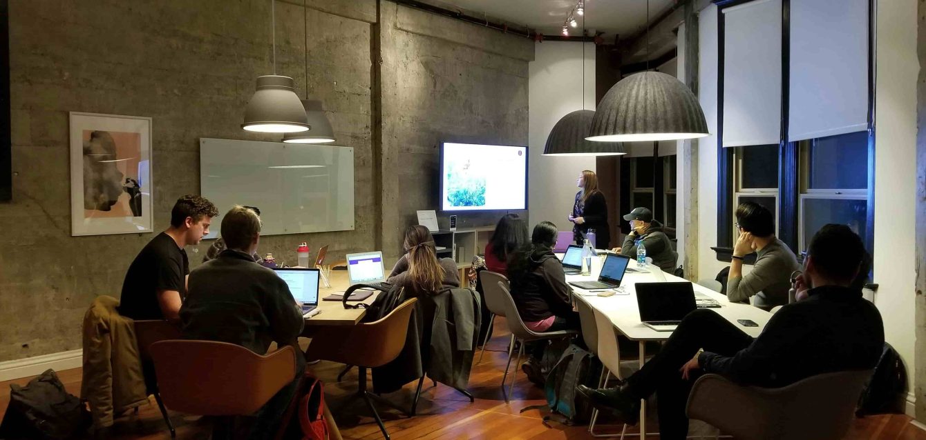 Developers in the USA building custom software solutions for growing tech companies in 2025