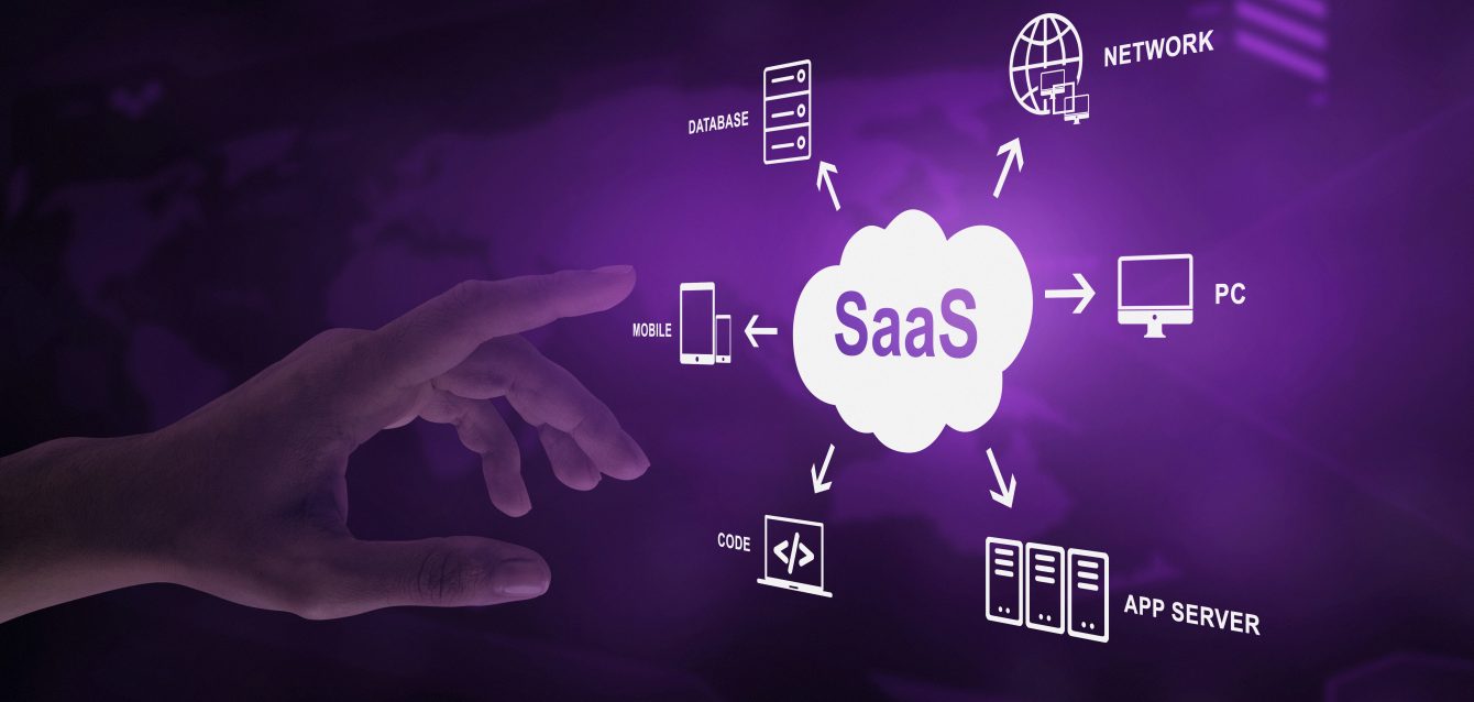 saas mvp development